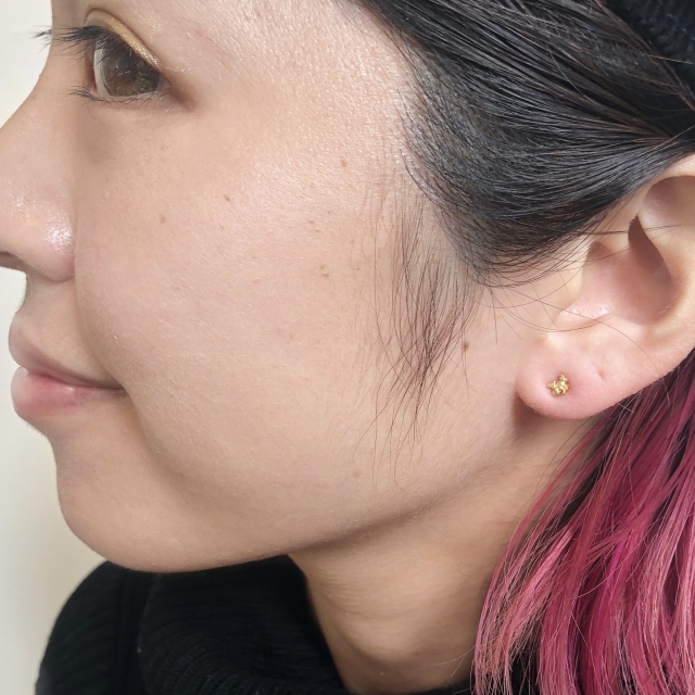 ゾディアック＊山羊座 ピアス GEODESIQUE WEB SHOP